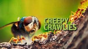 Creepy Crawlies: Unveiling the Fascinating World of Tiny Creatures