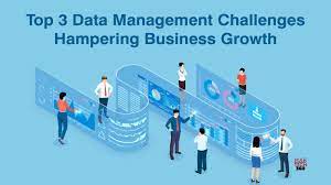 The Challenge of Data Management for Businesses
